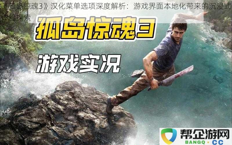 《孤岛惊魂3》汉化界面选项详解:游戏本土化对玩家体验的深度影响与探索