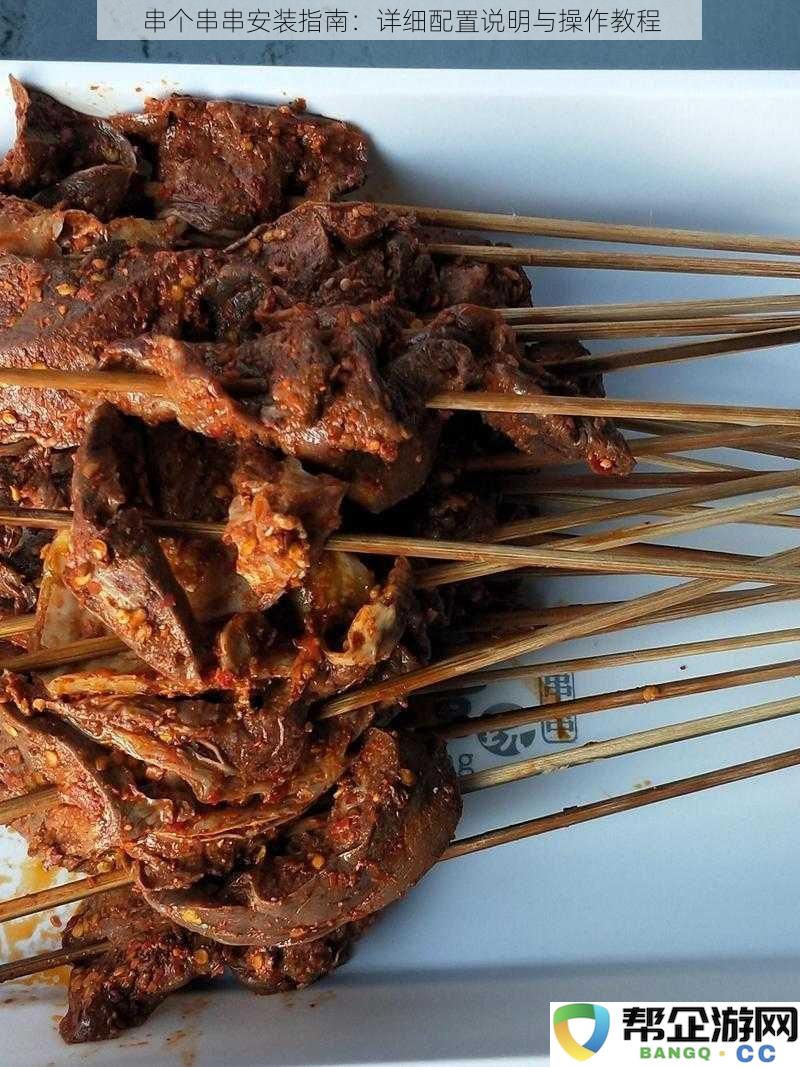 串个串串安装指南:详细配置说明与操作教程
