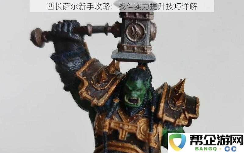 新手必看:酋长萨尔战斗实力提升的详细技巧与攻略