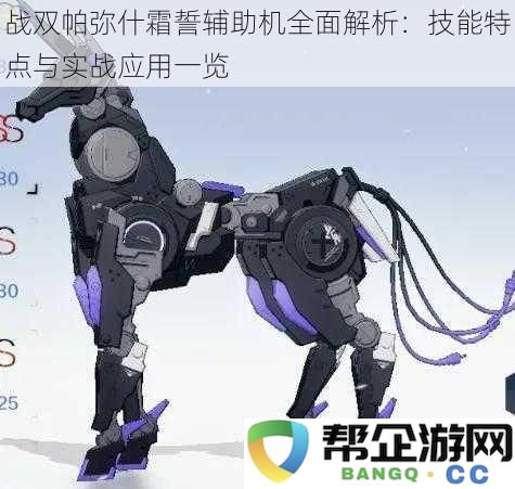 战双帕弥什霜誓辅助机全面解析:技能特点与实战应用一览