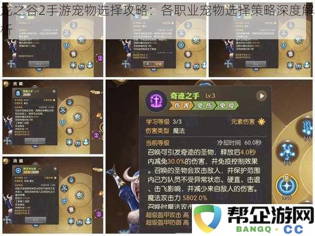 龙之谷2手游职业宠物选择大全:深入解析各职业最佳宠物搭配策略