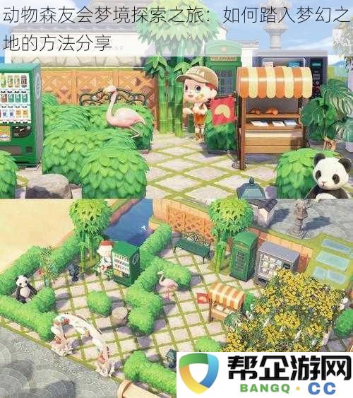 动物森友会梦境探索之旅:如何踏入梦幻之地的方法分享