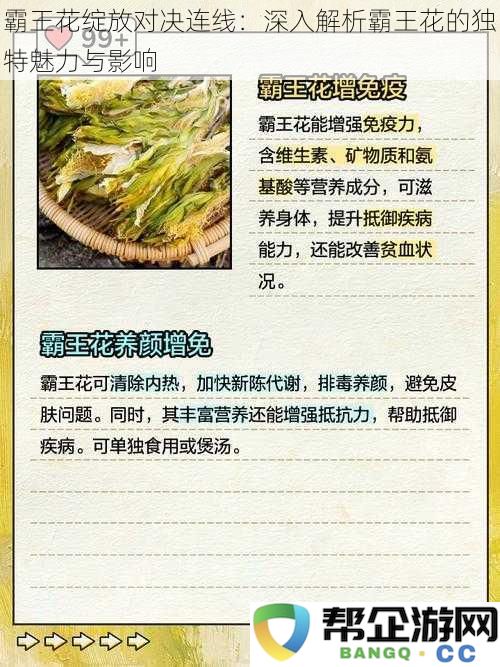 霸王花绽放对决连线:深入解析霸王花的独特魅力与影响