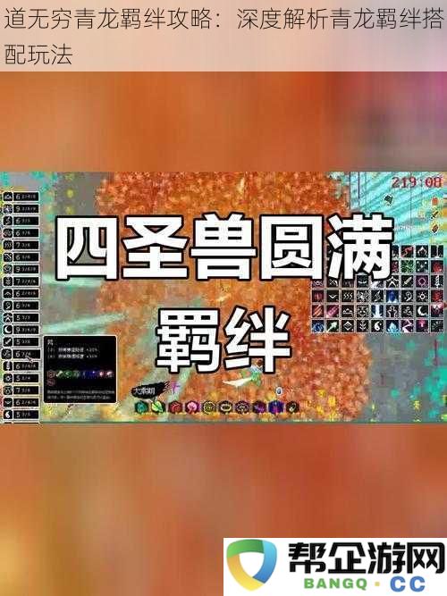 道无穷青龙羁绊搭配深度剖析:全面解析青龙羁绊的最佳玩法与策略