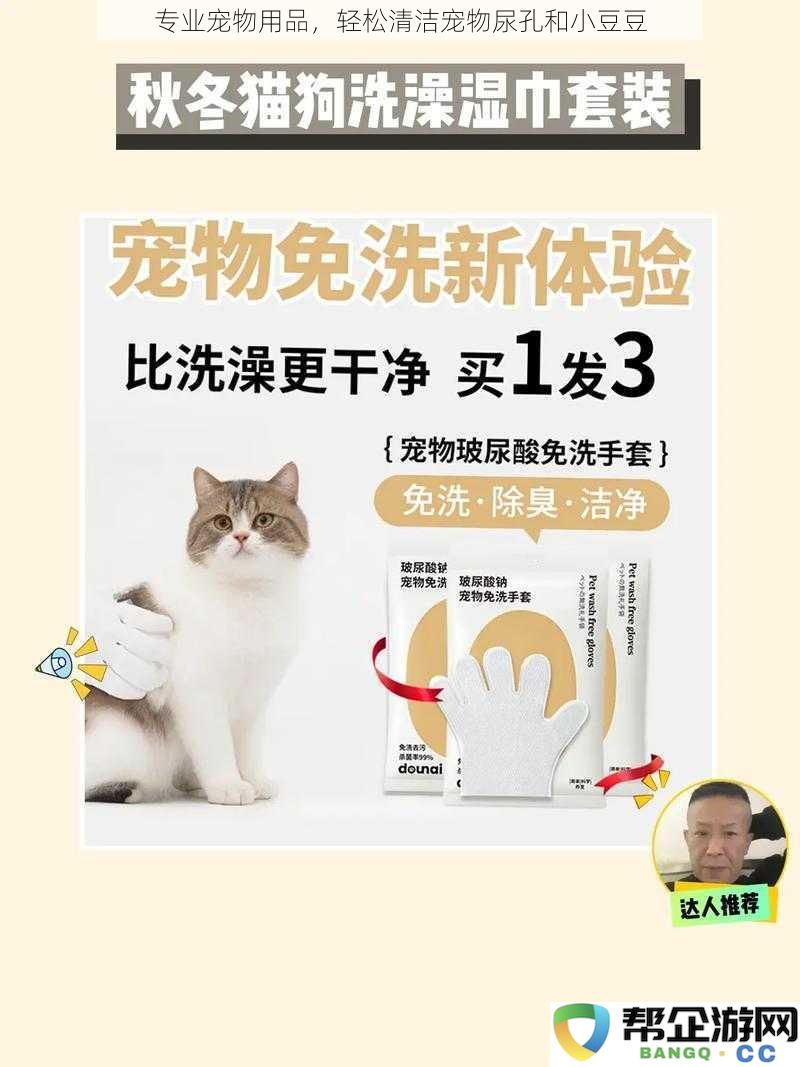 高效宠物清洁用品,轻松去除宠物尿孔和小豆豆的优选方案