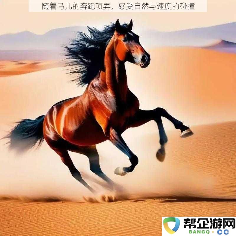 在马儿疾驰之间,领略速度与自然的奇妙交融