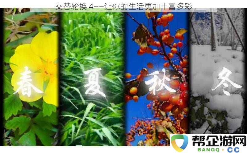 交替轮换4——让你的生活更加丰富多彩