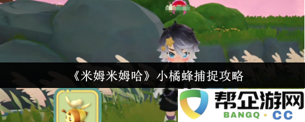 《米姆米姆哈》小橘蜂捕捉技巧与策略全解析