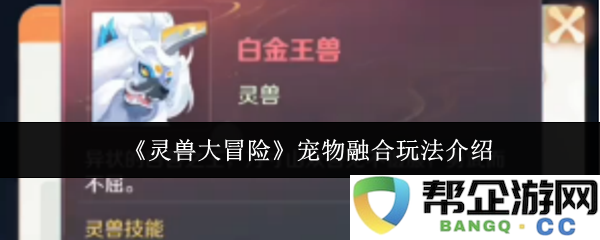 《灵兽大冒险》全新宠物融合系统玩法详解与技巧分享