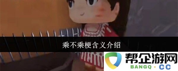 关于乘不乘梗的详细解释与背景分析
