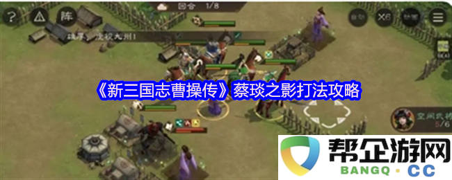 《新三国志曹操传》蔡琰角色使用技巧和影子打法全面攻略