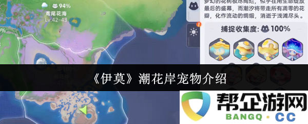 《伊莫》潮花岸独特宠物介绍及养护指南，让你更了解这些可爱的伙伴
