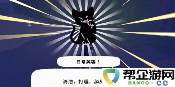 小猫咪大城市日常美容动作获取方式