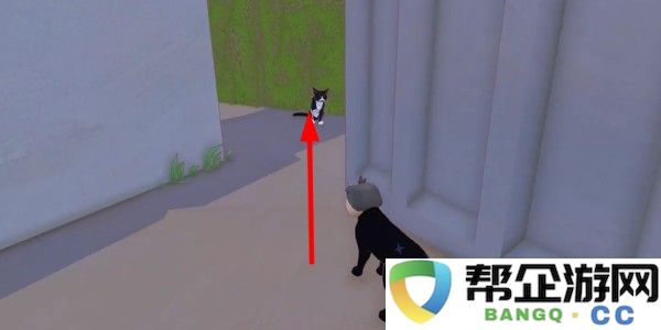 小猫咪大城市日常美容动作获取方式