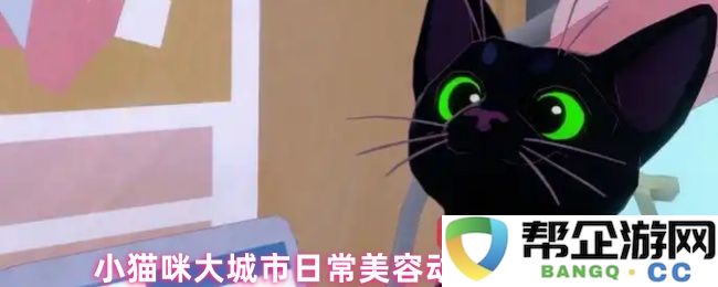探索小猫咪在繁华都市中日常美容的小妙招和获取方式
