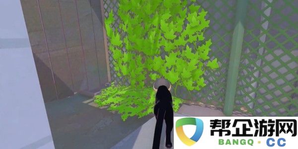 小猫咪大城市日常美容动作获取方式