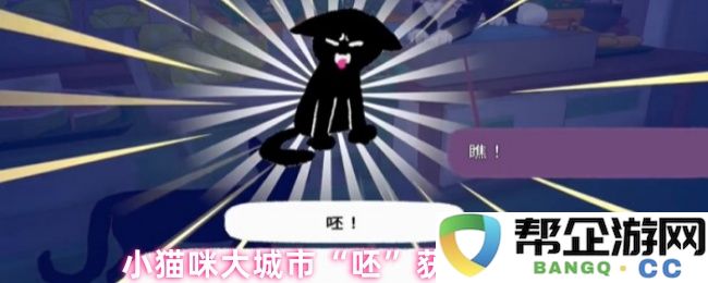 小猫咪在繁华都市“呸”的生存攻略与技巧分享