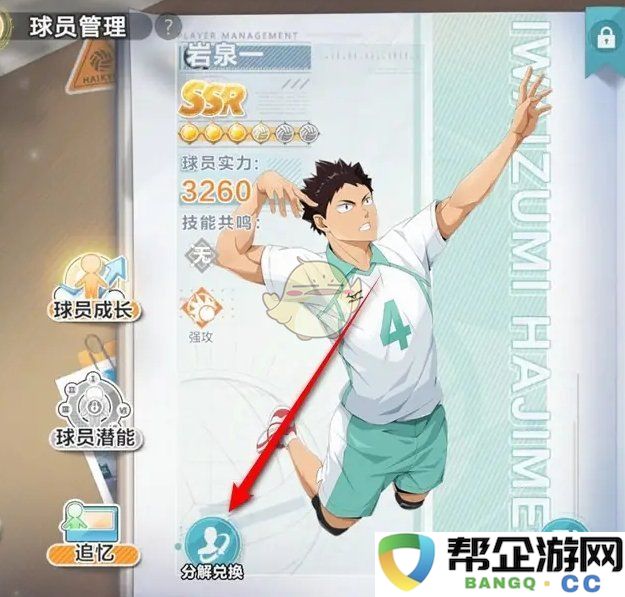 《排球少年:奋勇向前的新征程球员分析与分解技巧》