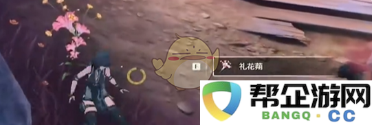 《鸣潮》礼花蒴收集全路线图详解与攻略一览