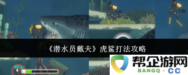 《潜水员戴夫》手游中击败虎鲨的详细战斗策略与技巧解析