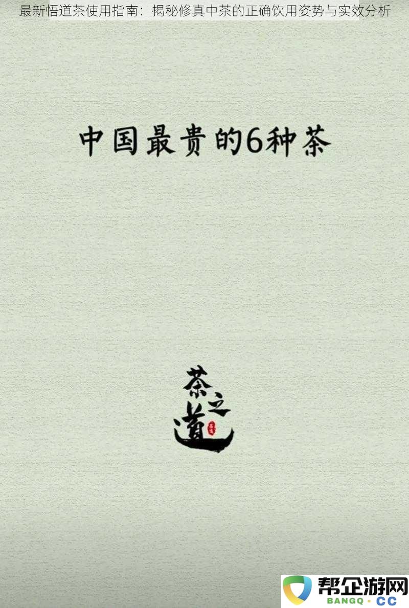悟道茶的正确饮用技巧与实际效果深度解析：掌握修真者的饮茶之道