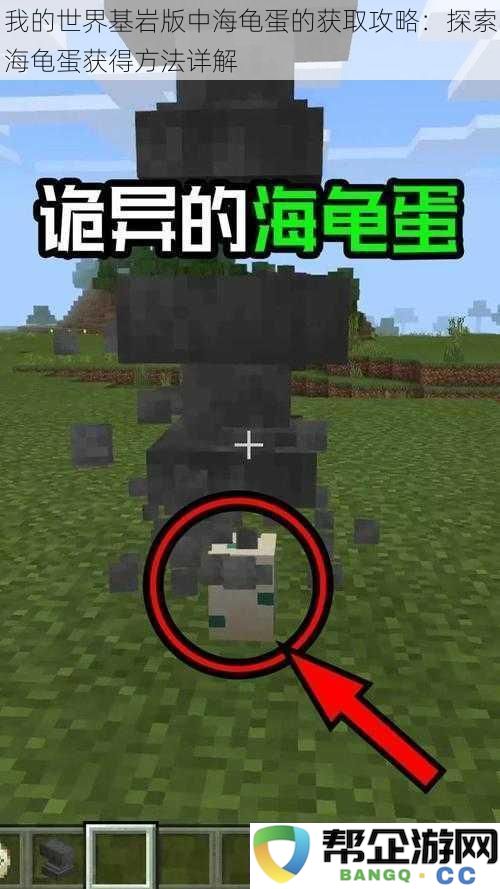 我的世界基岩版中海龟蛋的获取攻略：探索海龟蛋获得方法详解