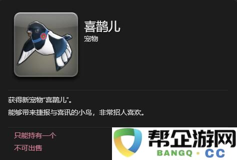 《最终幻想14：水晶世界》获得喜鹊儿宠物的详细攻略与方法