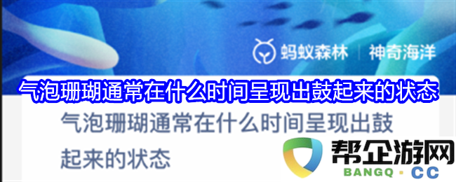 气泡珊瑚在什么时间会显现出隆起的状态，影响因素有哪些