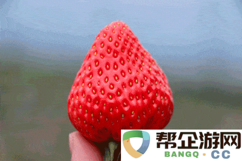 畅享高清精彩内容：草莓视频提供的丰富在线观看视频入口