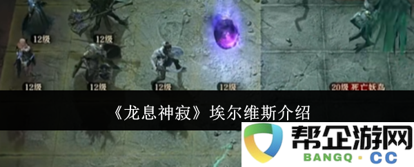 《龙息神寂》中的埃尔维斯角色深度解析与背景介绍