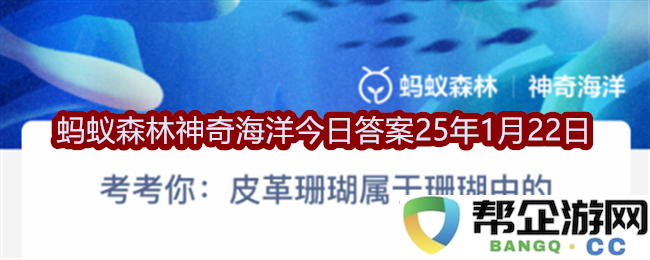 皮革珊瑚在珊瑚种类中的独特分类与特征分析