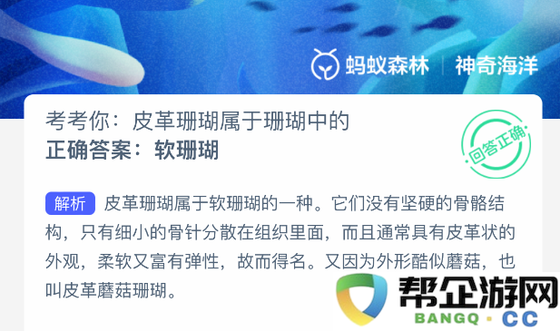 皮革珊瑚在珊瑚种类中的独特分类与特征分析