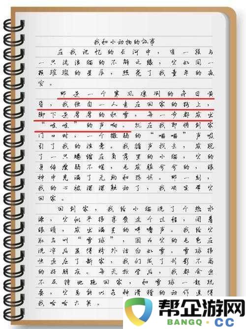 老李和儿媳妇的生活点滴：平凡日子中的相处故事