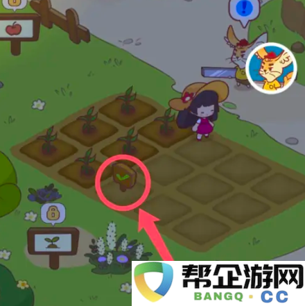 《彩虹棉花糖小店》八块田地获取方法详解与攻略分享
