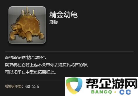 《最终幻想14：水晶世界》获取精金幼龟的详细攻略与步骤