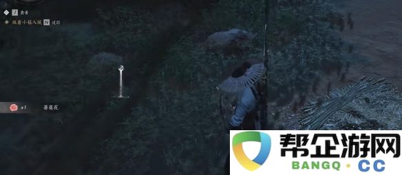 《燕云十六声》中蔷薇风信任务的详细攻略与玩法指南