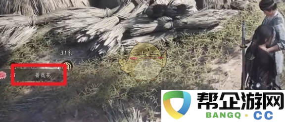 《燕云十六声》蔷薇风信任务全攻略与技巧分享