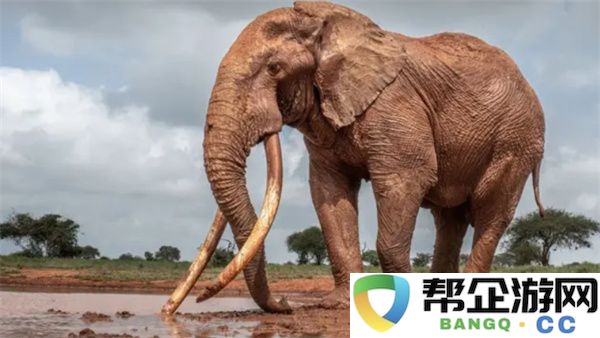 蚂蚁庄园5月16日今日答案2025：聪明选择，成为抖音达人？ 轻松致富
