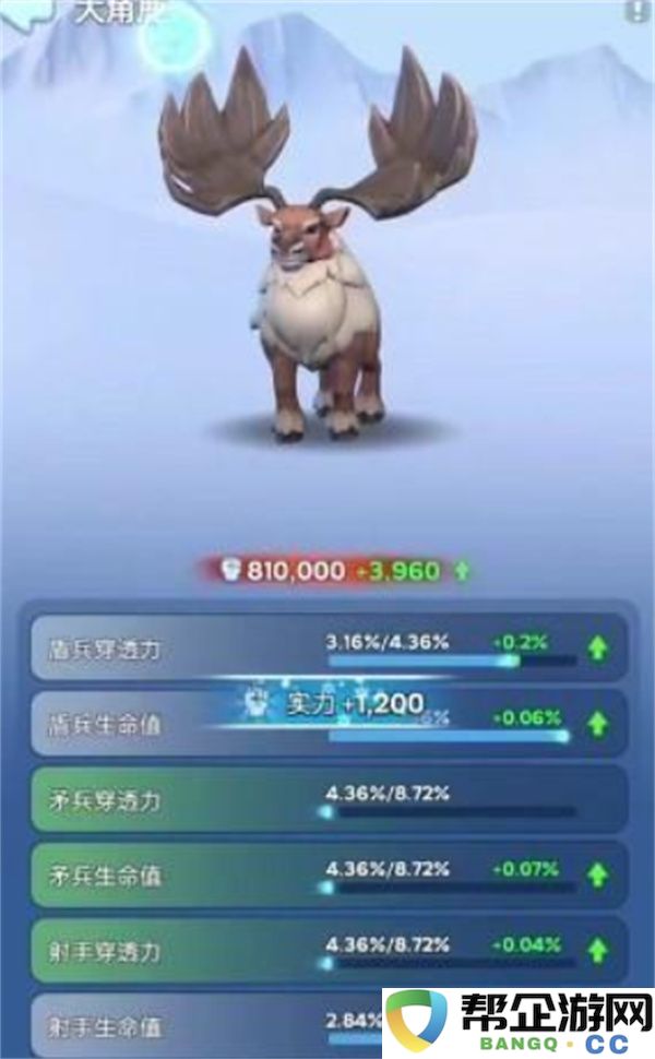 无尽冬日宠物洗红技巧分享：让你的宠物在寒冷中绽放迷人光彩！
