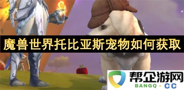 魔兽世界托比亚斯宠物如何获取：神奇的冒险，奇遇与挑战