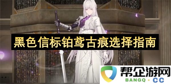 黑色信标铂鸢古痕选择指南：如何选择最适合你的装备？ 性能与视觉的完美结合