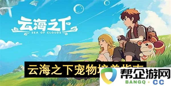 云海之下宠物培养指南：轻松玩转宠物养成的秘密与秘诀！