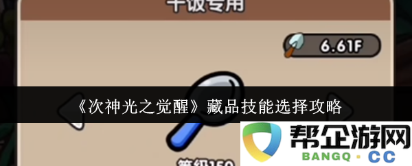 《次神光之觉醒》中的多样化藏品技能如何选择与搭配攻略