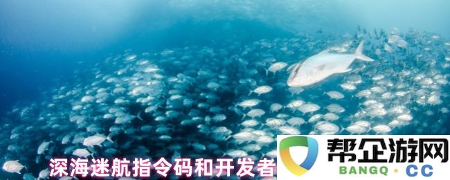 深海迷航指令码和开发者模式使用教程