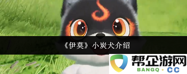 《伊莫》小炭犬的详细介绍与饲养指南，了解这款可爱宠物犬的特点与养护要点