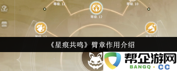 《星痕共鸣》臂章作用介绍