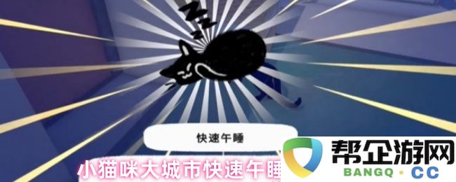 如何在繁忙大城市中帮助小猫咪快速获得午睡的方法分享