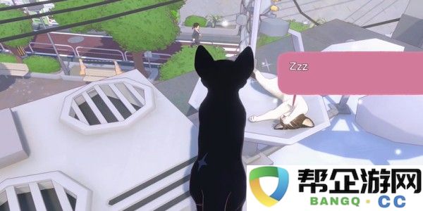 小猫咪大城市快速午睡获得方法