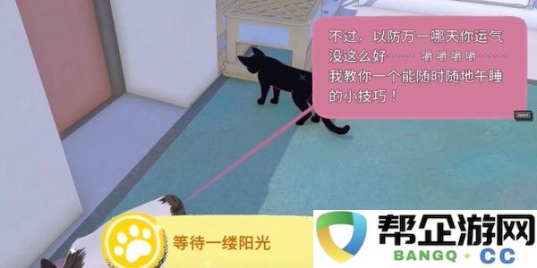 小猫咪大城市快速午睡获得方法