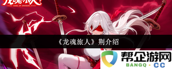 《龙魂旅人》中的荆人物解析与发展历程探讨